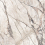PF60017230 - фото 3