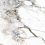 K949808FLPR1VTS0 - фото 6