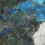 NTT9398P - фото 6