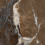 NTT9364DS - фото 6
