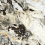NTT9368DS - фото 4