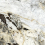 NTT9368DS - фото 9