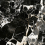NTT9370SG - фото 1