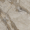 NTT9373DS - фото 2