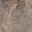 VL006012N - фото 1