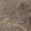 VL006060N - фото 2