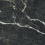 PP-01-335-1198-0598-1-004 - фото 1
