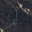 PP-02-632-1198-0598-1-001 - фото 6