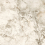 60120OIN11P - фото 4