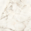 60120VSA11P - фото 2