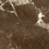60120KTN21P - фото 2