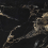 TRKS6012102 - фото 1