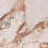 TRKS6012103 - фото 1