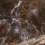 G67506 - фото 2