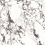 9S918019C - фото 2