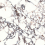9S918019C - фото 3