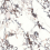 9S918019C - фото 4